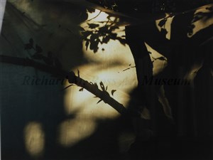 Image description is not available for 2011.052